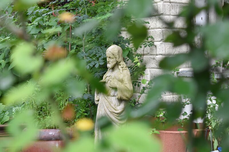 cormac tully, photography, camera, garden, Jesus, statue, green, sacred heart